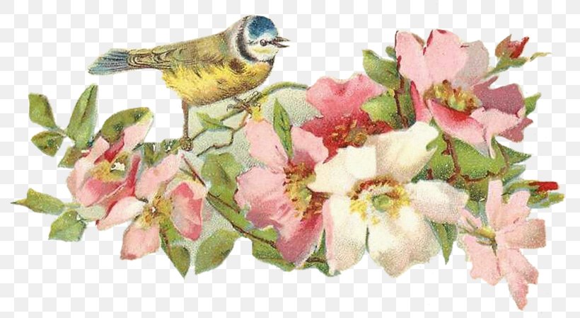 Apron Cut Flowers Bokmärke, PNG, 800x449px, Apron, Beak, Bird, Blossom, Branch Download Free