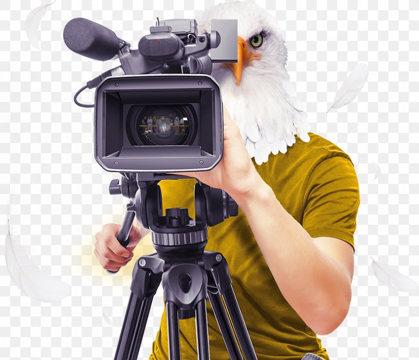 Camera Operator Video Cameras Stock Photography, PNG, 831x715px, Camera Operator, Camera, Camera Accessory, Cameras Optics, Cinematographer Download Free