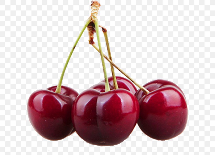 Cherry Ice Cream Auglis Fruit, PNG, 616x592px, Cherry, Aedmaasikas, Auglis, Automation, Berry Download Free