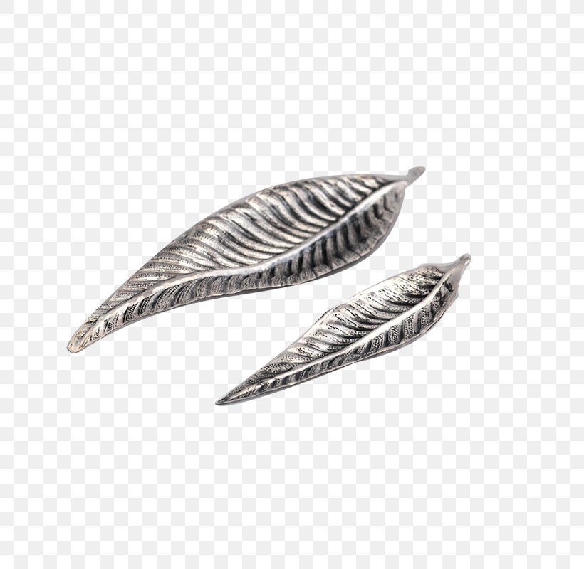 Feather, PNG, 800x800px, Feather, Jewellery, Silver, Wing Download Free