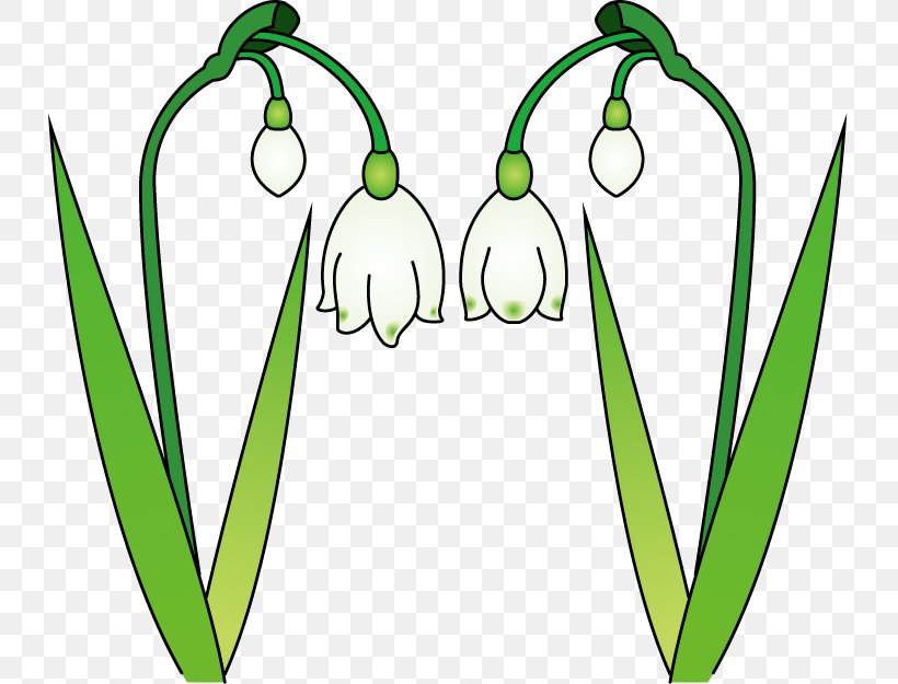 Flower Snowdrop Clip Art, PNG, 731x625px, Flower, Area, Artwork, Cyclamen, Flora Download Free