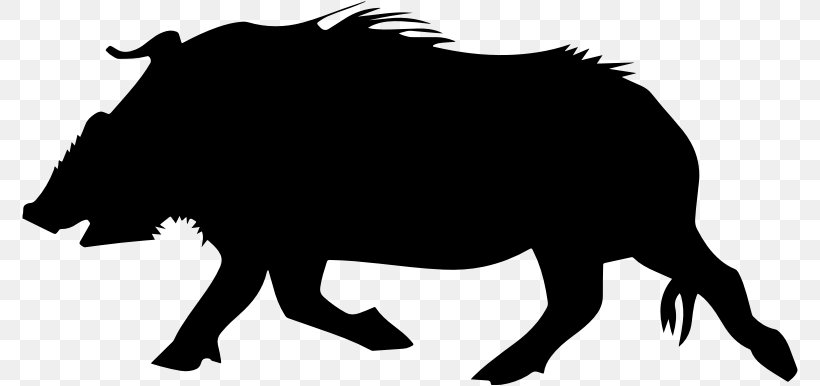 Wild Boar Common Warthog Clip Art, PNG, 776x386px, Wild Boar, Animal, Animal Track, Babirusa, Black And White Download Free