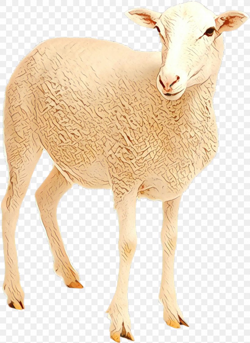 Barbary Sheep Goat Neck Bovidae, PNG, 1399x1919px, Sheep, Animal, Animal Figure, Barbary Sheep, Bovidae Download Free