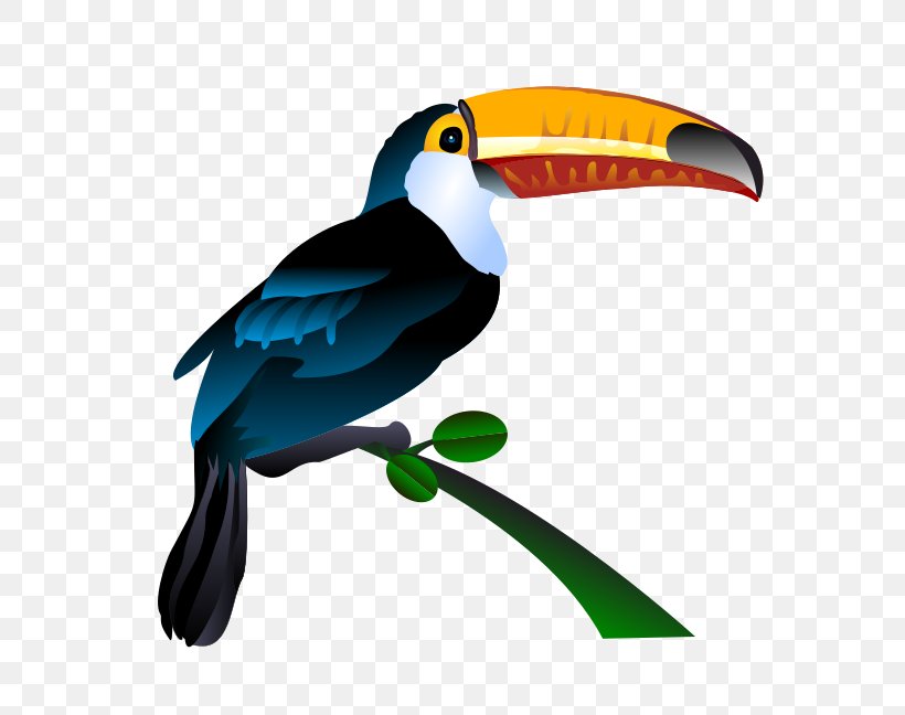 Bird Toucan Clip Art, PNG, 566x648px, Bird, Beak, Drawing, Line Art, Macaw Download Free