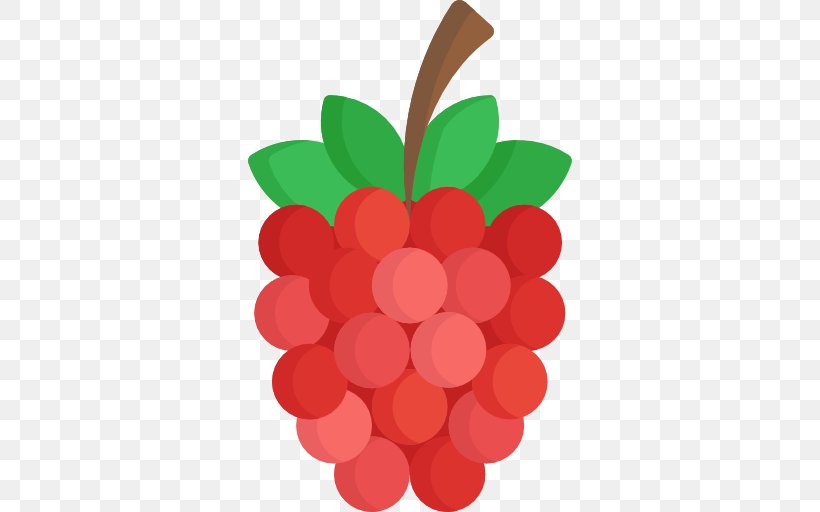 Grape, PNG, 512x512px, Grape, Berry, Food, Fruit, Grapevine Family Download Free
