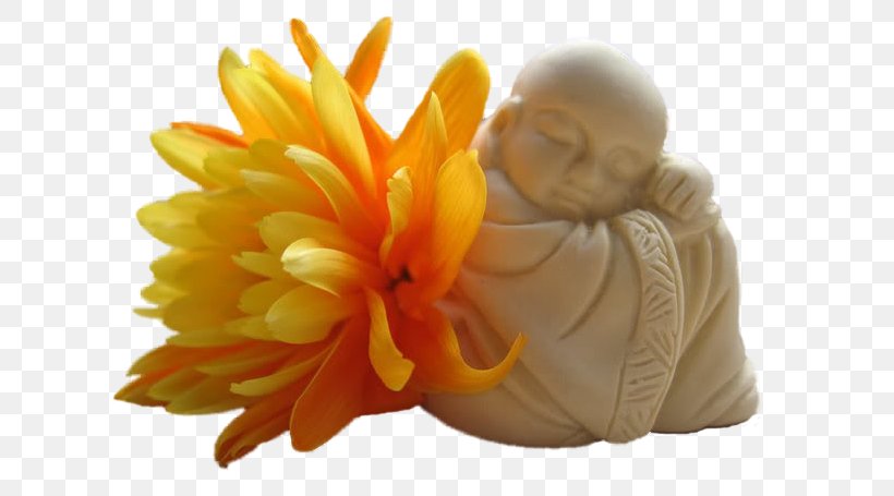 Buddhism Buddhahood Meditation Zen Dharma, PNG, 626x455px, Buddhism, Bodhisattva, Buddha, Buddhahood, Buddhanature Download Free