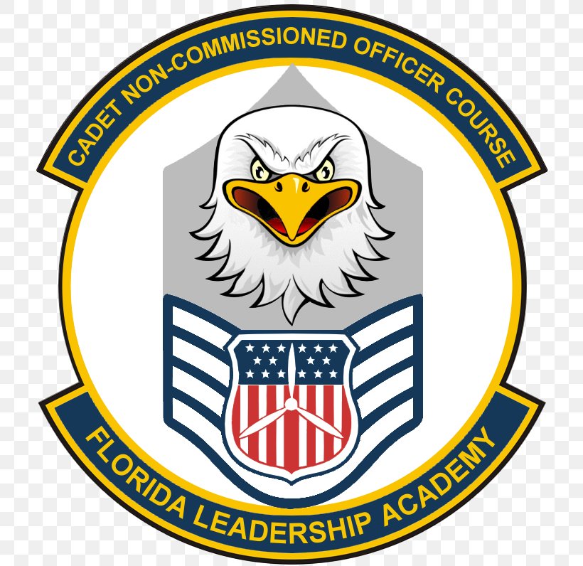 Chief Master Sergeant Of The Air Force United States Air Force Enlisted Rank Insignia Senior Master Sergeant, PNG, 796x796px, Master Sergeant, Airman First Class, Area, Beak, Brand Download Free