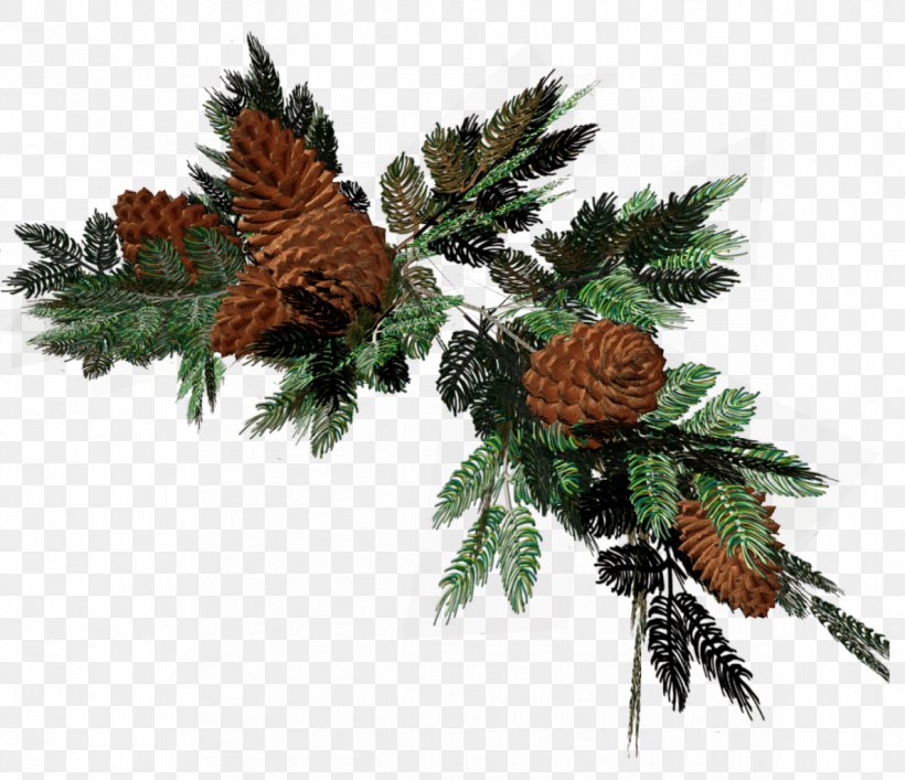 Pine Spruce Conifers Fir Christmas Decoration, PNG, 1187x1024px, Pine, Branch, Christmas, Christmas Decoration, Christmas Ornament Download Free