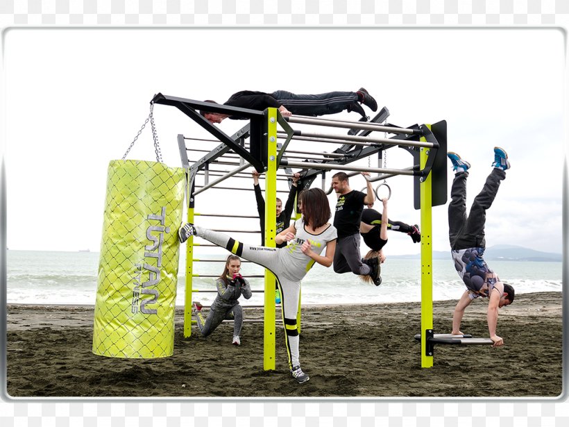 Playground Swing Tree, PNG, 1024x768px, Playground, Grass, Outdoor Play Equipment, Public Space, Recreation Download Free