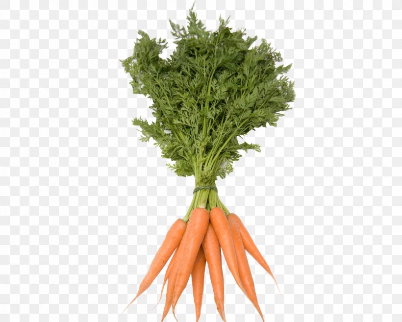 Utah Carrot Vegetable Stock Photography Royalty-free, PNG, 999x801px, Utah, Baby Carrot, Bunch Of Carrots, Carrot, Carrot Juice Download Free