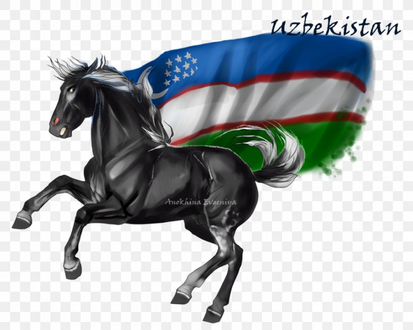Horse & Hound Stallion Uzbekistan DeviantArt, PNG, 900x720px, Horse, Art, Bit, Bridle, Deviantart Download Free