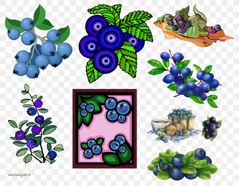 Grape Clip Art, PNG, 2228x1736px, Grape, Art, Auglis, Blue, Blueberry Download Free