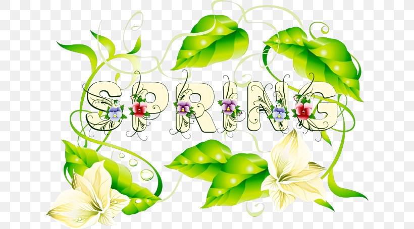 Green Leaf Plant Vegetable Flower, PNG, 640x454px, Green, Flower, Leaf, Plant, Vegetable Download Free