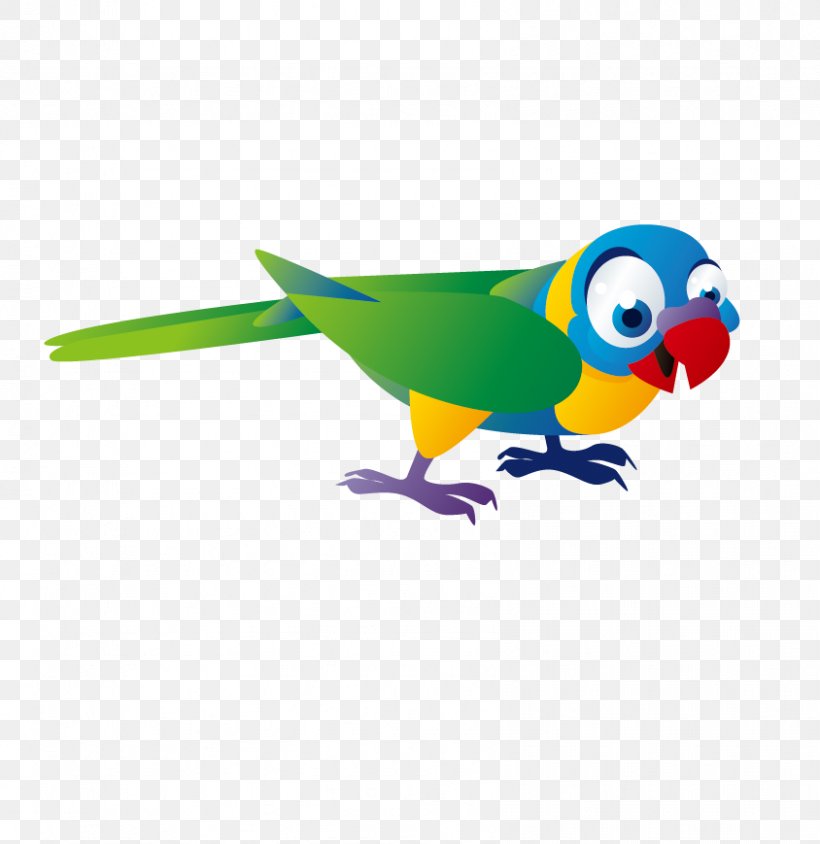 T-shirt Monk Parakeet Bxe1seu0148 Cuento Infantil Child, PNG, 844x869px, Tshirt, Beak, Bird, Child, Childhood Download Free