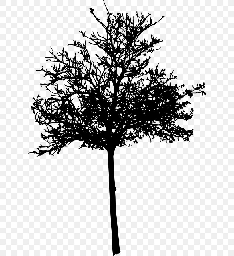 Twig Silhouette Management, PNG, 624x900px, Twig, Black And White, Branch, Business, Business Coaching Download Free