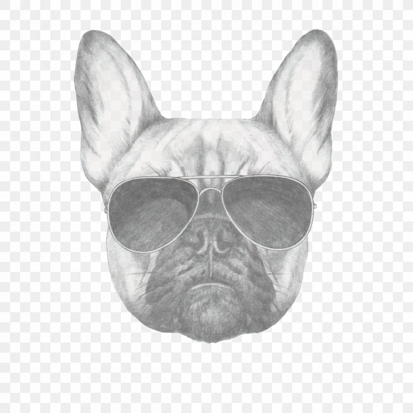 French Bulldog Drawing Pug, PNG, 1200x1200px, French Bulldog, Bulldog, Carnivoran, Dog, Dog Breed Download Free