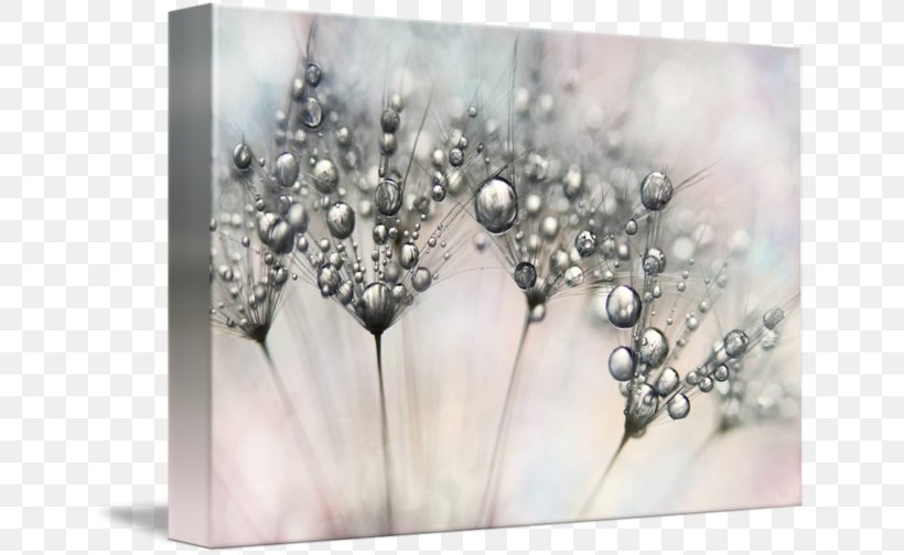 Gallery Wrap Canvas Stock Photography Art, PNG, 650x504px, Gallery Wrap, Art, Canvas, Carpet, Hair Accessory Download Free