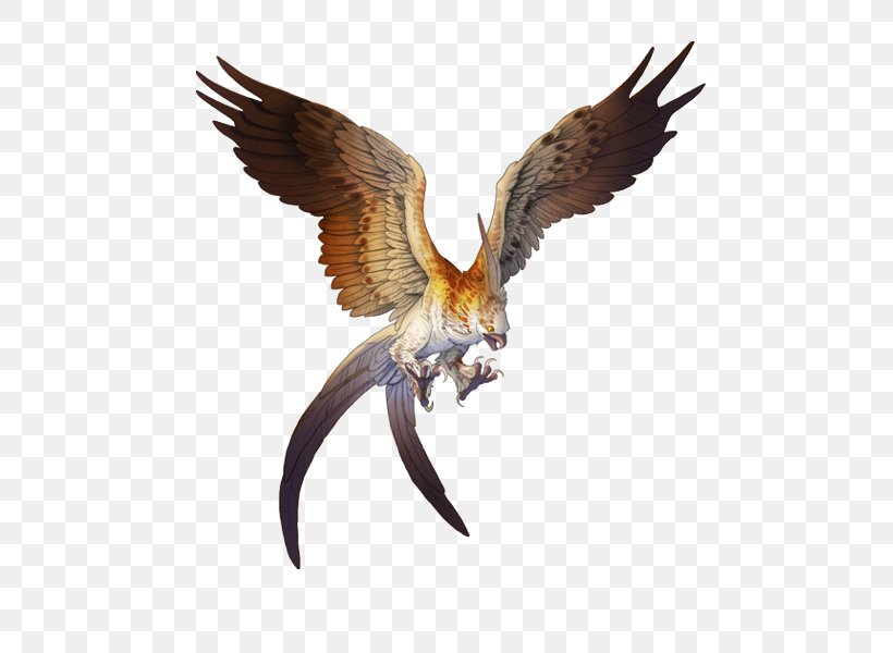 Hawk Golden Eagle Bird Bald Eagle, PNG, 500x600px, Hawk, Accipitriformes, Animal, Aquila, Bald Eagle Download Free