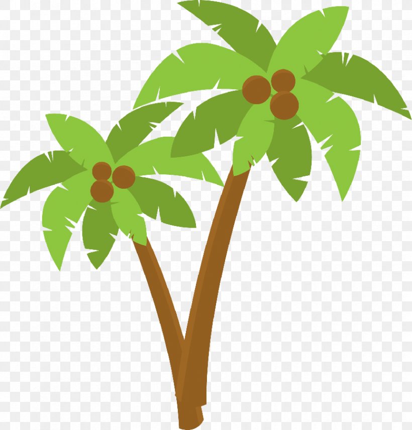 Arecaceae Coconut Clip Art, PNG, 862x900px, Arecaceae, Arecales, Branch, Coconut, Drawing Download Free