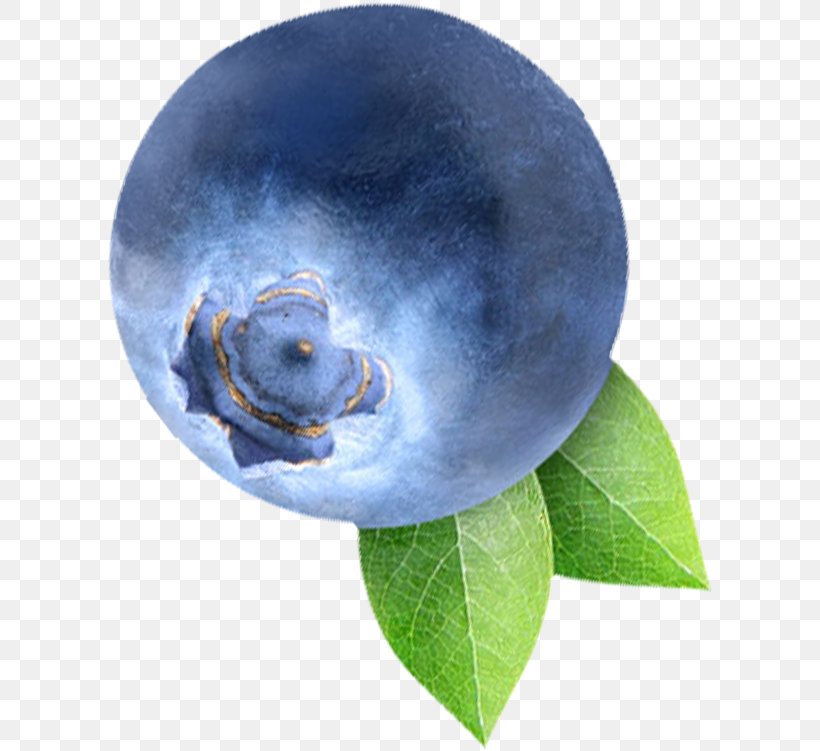 Blueberry Bilberry Fruit, PNG, 605x751px, Blueberry, Auglis, Berry, Bilberry, Cartoon Download Free