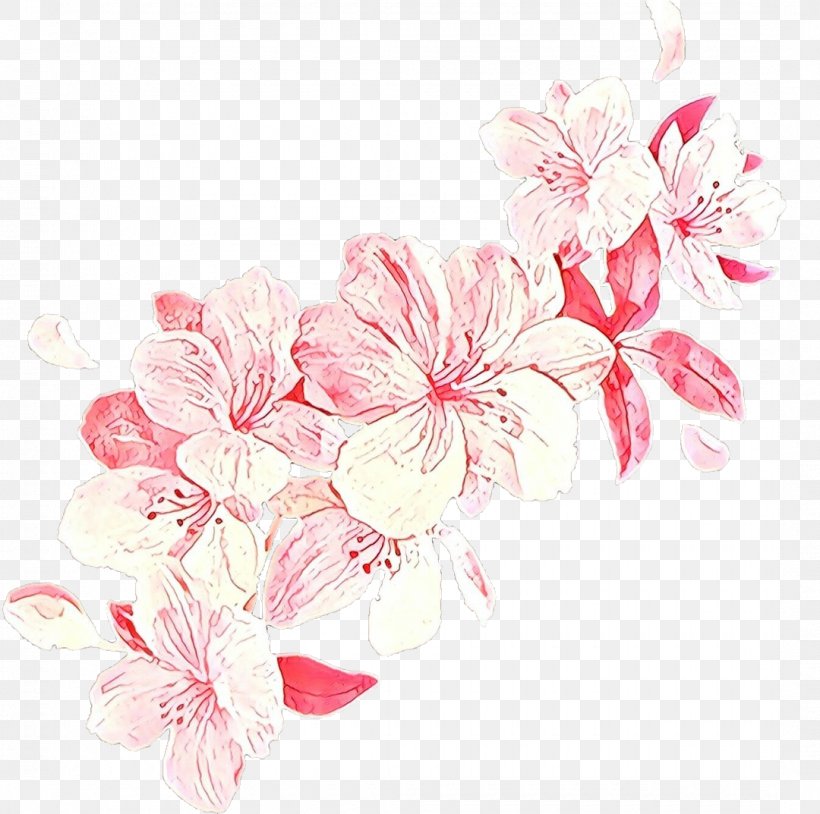 Cherry Blossom, PNG, 1080x1073px, Cartoon, Blossom, Branch, Cherry Blossom, Cut Flowers Download Free