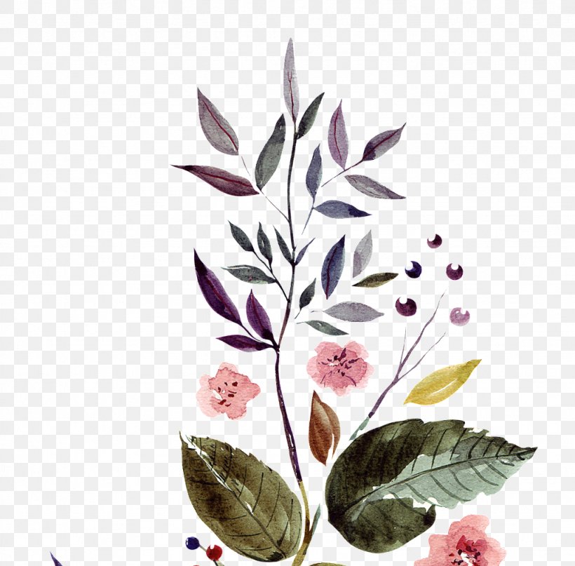 Petal Leaf Image Picture Frames, PNG, 1024x1009px, Petal, Botany, Cartoon, Flower, Flowering Plant Download Free