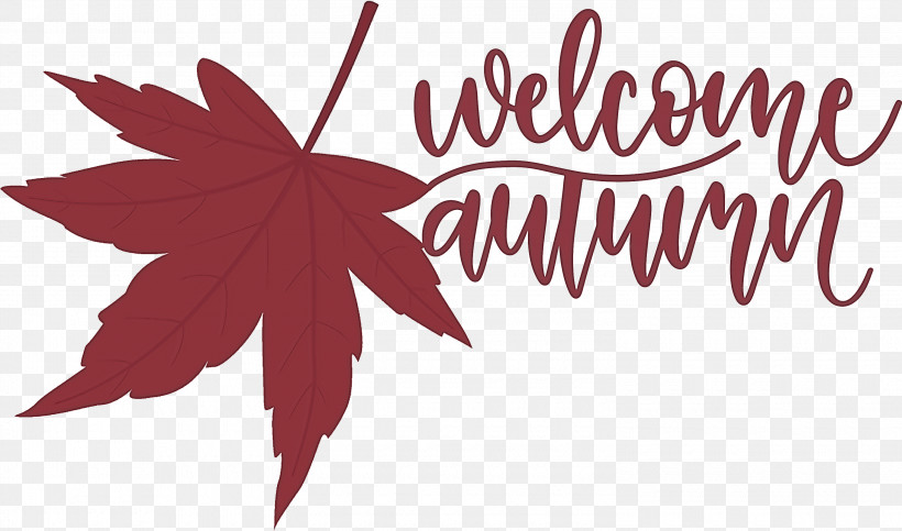 Welcome Autumn Autumn, PNG, 3000x1768px, Welcome Autumn, Autumn, Biology, Flower, Leaf Download Free