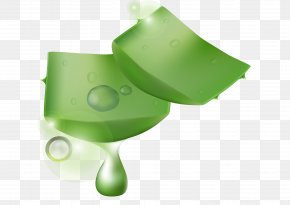 Hand-painted Aloe Vera Essential Oil Material - Aloe Vera Drawing PNG