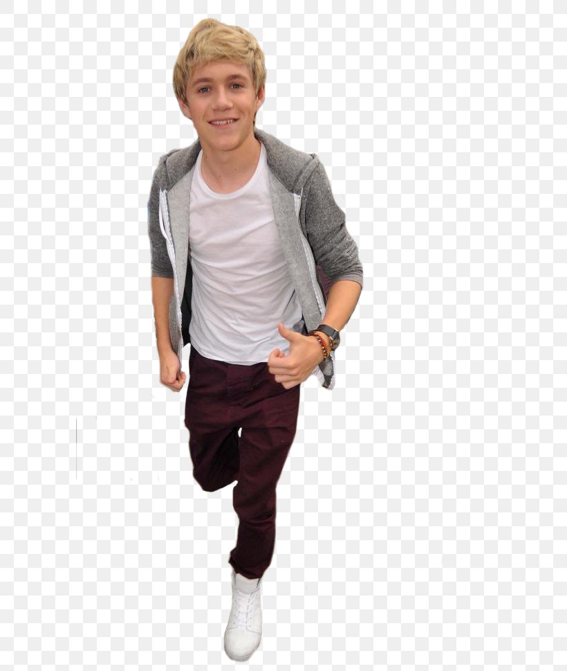 Niall Horan One Direction Mullingar Gotta Be You, PNG, 600x969px, Watercolor, Cartoon, Flower, Frame, Heart Download Free