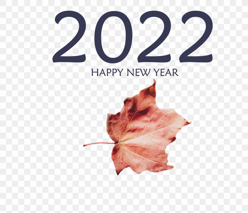 2022 Happy New Year 2022 New Year 2022, PNG, 3000x2588px, Leaf, Biology, Meter, Plant, Plant Structure Download Free