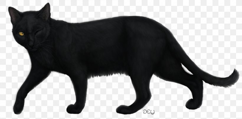 Black Cat Bombay Cat Korat Dog Drawing, PNG, 1000x493px, Black Cat, Animal Figure, Asian, Black, Bombay Download Free