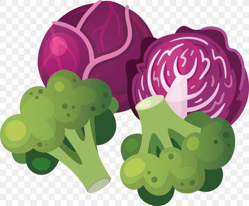 Grape Vegetable Food Spinach, PNG, 3141x2608px, Grape, Broccoli, Cabbage, Cooking, Cucumber Download Free
