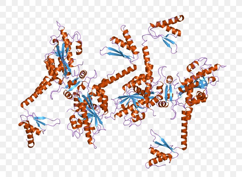 Poly(A)-specific Ribonuclease (PARN) Enzyme, PNG, 800x600px, Ribonuclease, Animal, Area, Art, Creativity Download Free