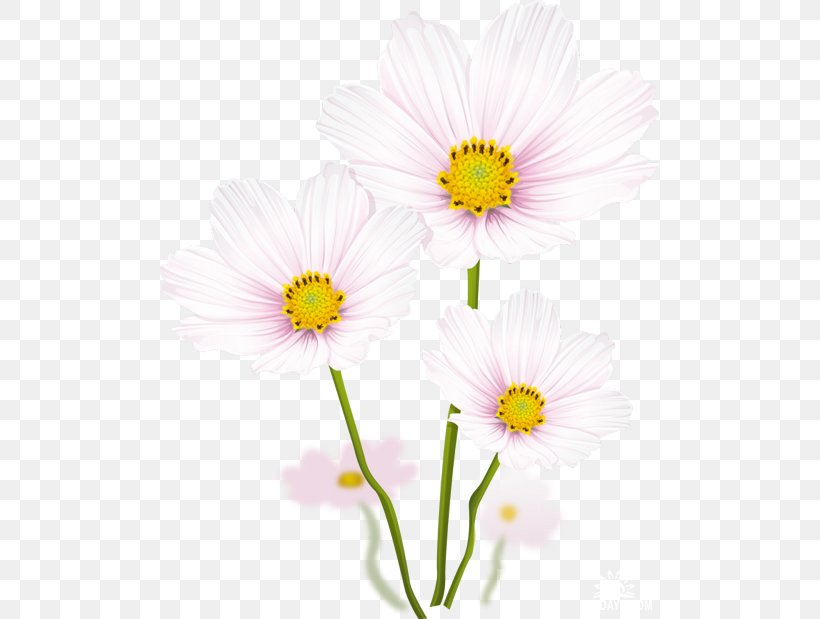 Vector Graphics Graphic Design Image, PNG, 500x619px, Drawing, Annual Plant, Chrysanths, Cosmos, Daisy Download Free