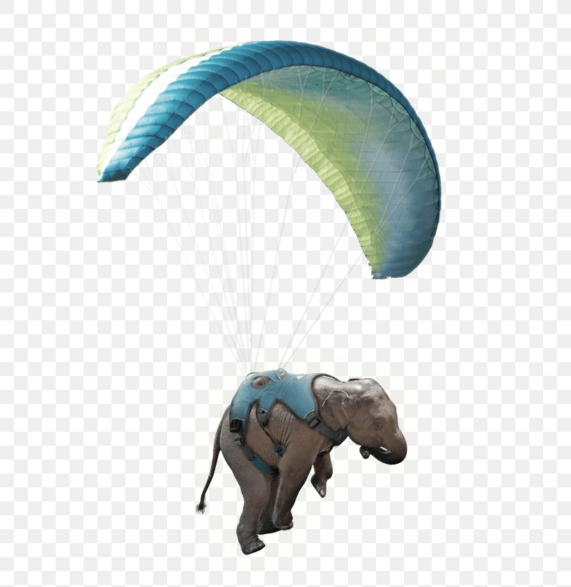 Air Sports Parachute Paragliding Parachuting Windsport, PNG, 649x843px, Air Sports, Microsoft Azure, Parachute, Parachuting, Paragliding Download Free