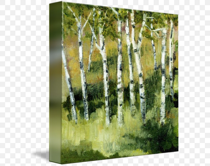 Canvas Print Watercolor Painting Art, PNG, 589x650px, Canvas Print, Art, Biome, Birch, Birch Family Download Free