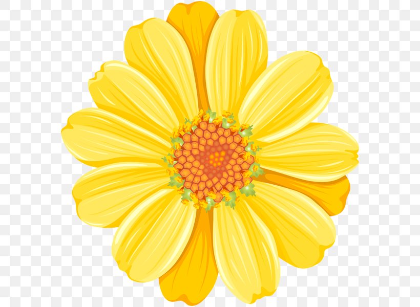 Common Daisy Clip Art, PNG, 586x600px, Common Daisy, Annual Plant, Art, Chrysanths, Color Download Free