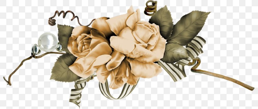 Digital Photo Frame Clip Art, PNG, 800x348px, Digital Photo Frame, Body Jewelry, Cut Flowers, Flower, Flower Box Download Free