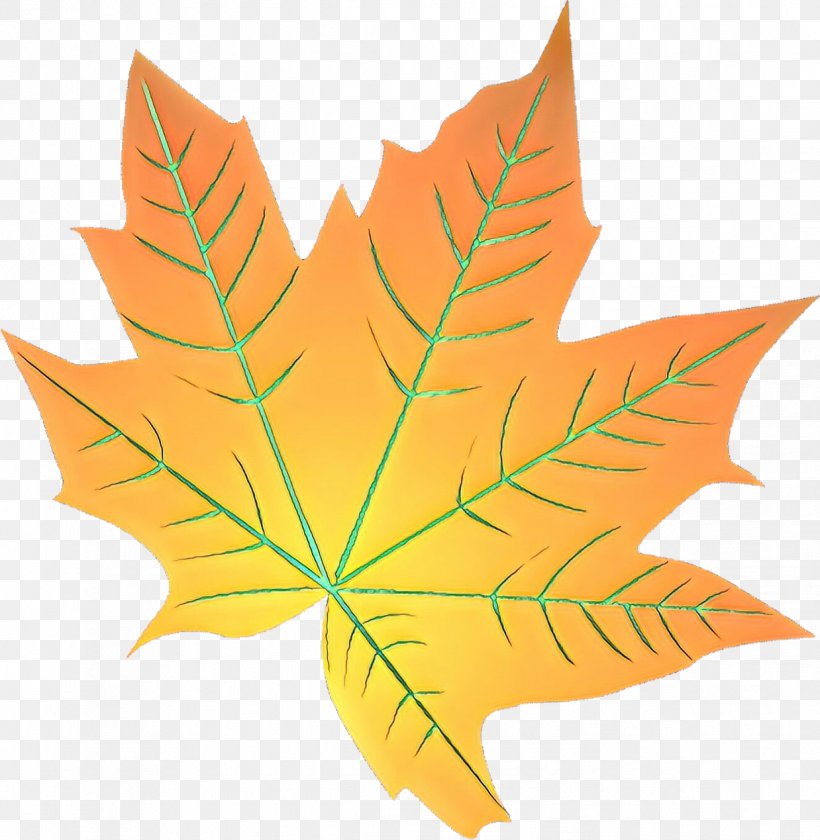 Maple Leaf, PNG, 1238x1269px, Cartoon, Black Maple, Flowering Plant, Leaf, Maple Leaf Download Free