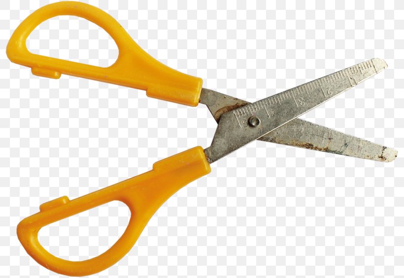 Scissors Icon, PNG, 800x565px, Scissors, Bandage Scissors, Gratis, Hardware, Image File Formats Download Free