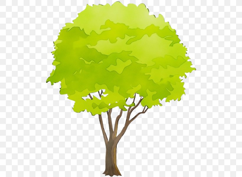 Arbor Day, PNG, 513x600px, Watercolor, Arbor Day, Green, Leaf, Paint Download Free
