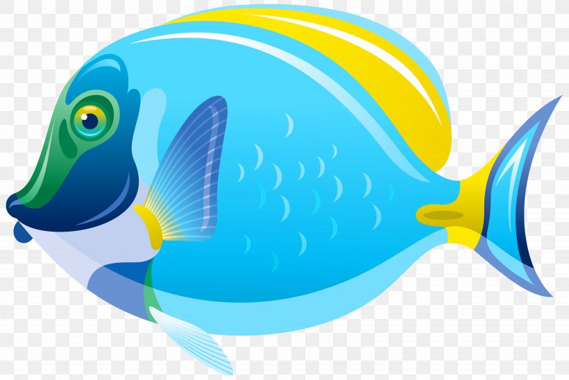 Fish Clip Art, PNG, 6000x4012px, Fish, Beak, Clip Art, Clownfish, Deep Sea Fish Download Free