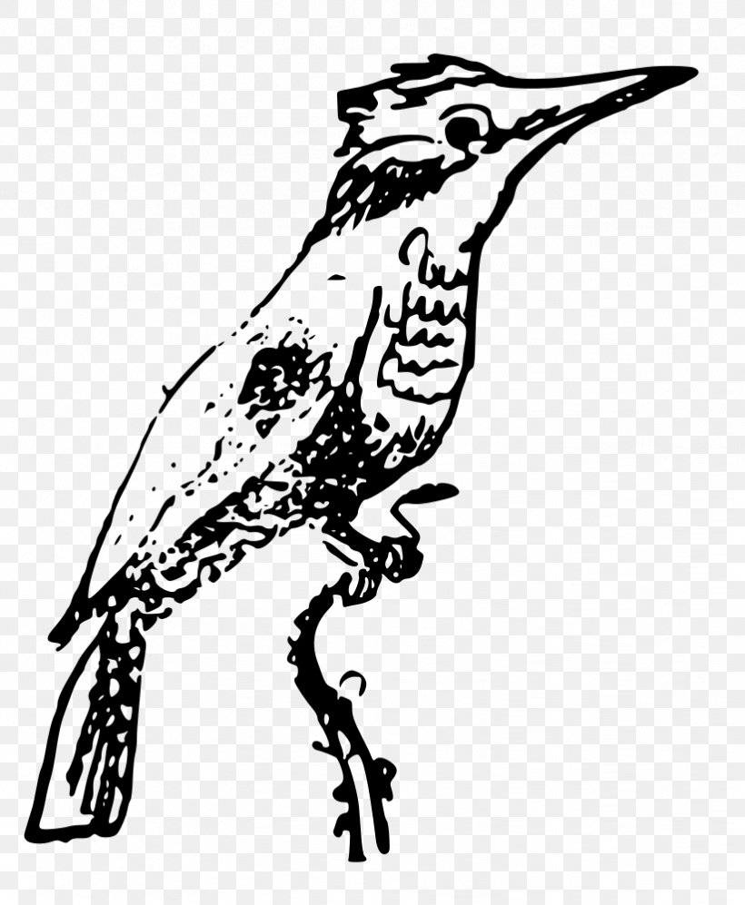 Kingfisher Clip Art, PNG, 822x1000px, Kingfisher, Art, Artwork, Beak, Belted Kingfisher Download Free