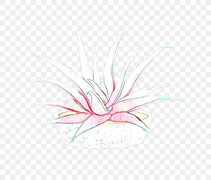 Pink Line Plant Graphic Design Flower, PNG, 700x700px, Cartoon, Flower, Pink, Plant Download Free