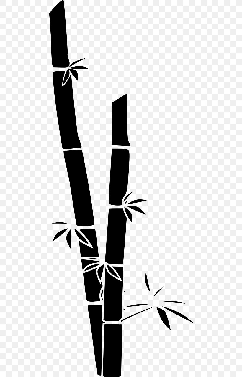 Bamboo Reed Giant Panda Bathroom Folding Screen, PNG, 640x1280px, Bamboo, Activated Carbon, Bathroom, Bear, Blackandwhite Download Free