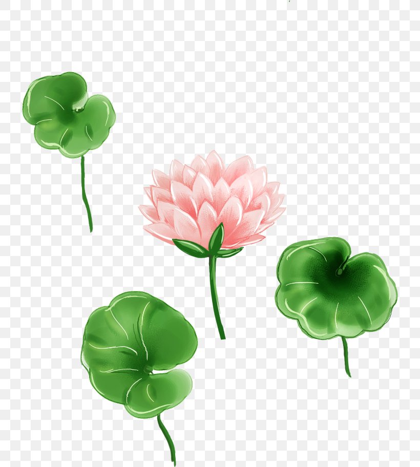 Leaf Cartoon, PNG, 734x912px, Leaf, Annual Plant, Artificial Flower, Cartoon, Cut Flowers Download Free