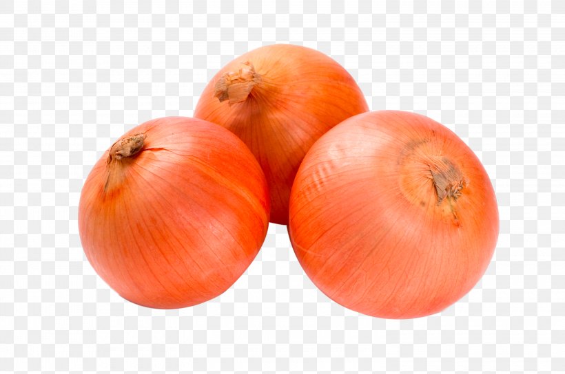 Onion Tomato Garlic Allium Fistulosum Allium Chinense, PNG, 3000x1993px, Onion, Allium, Allium Chinense, Allium Fistulosum, Food Download Free