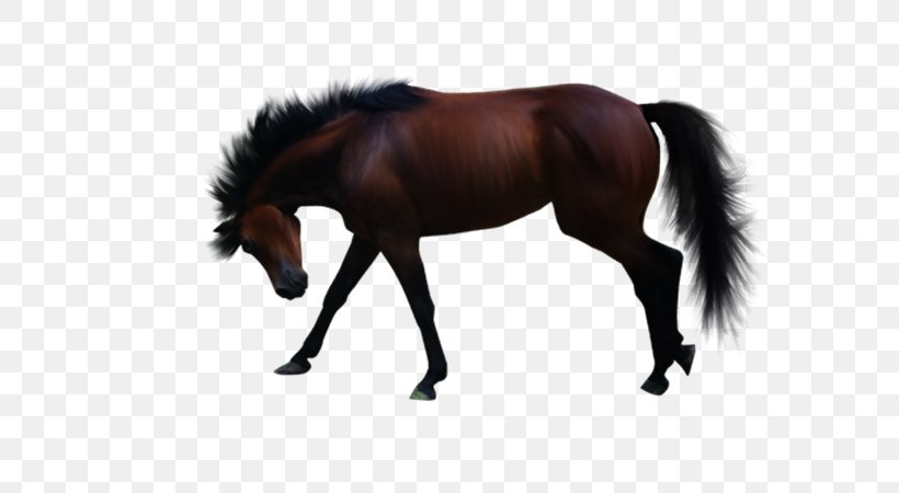 Pony American Paint Horse Clip Art, PNG, 600x450px, Pony, American Paint Horse, Animal, Bit, Bridle Download Free