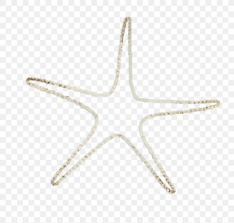 Starfish Ocean Euclidean Vector, PNG, 800x781px, Starfish, Echinoderm, Gratis, Invertebrate, Material Download Free
