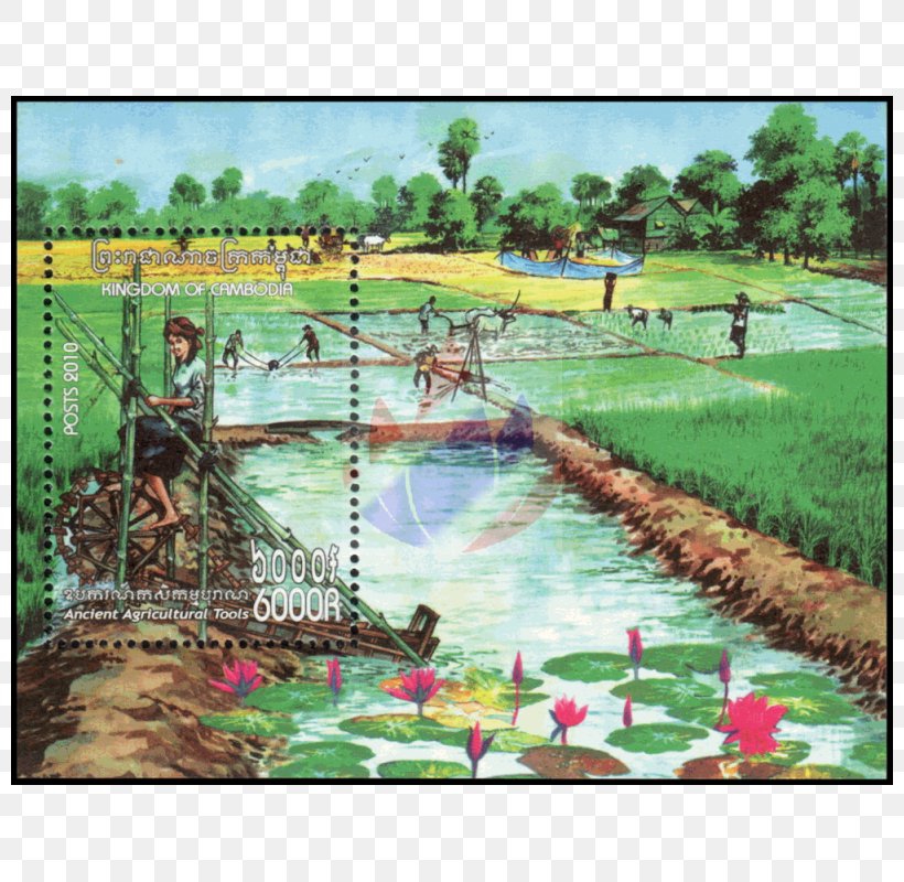 Water Resources Ecosystem Garden Pond Painting, PNG, 800x800px, Water Resources, Ecosystem, Flora, Garden, Grass Download Free
